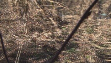 Hra s ohňom sa skončila tragédiou. Tri deti z Bukoviec utrpeli popáleniny, dievča je v kritickom stave