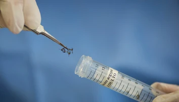 Vírus zika sa tento rok potvrdili na Slovenku u troch ľudí