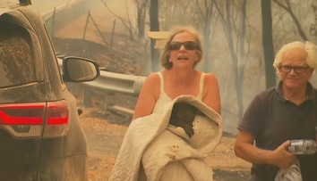 Koala Lewis, ktorej záchranu z horiaceho pekla sledoval celý svet, zomrela