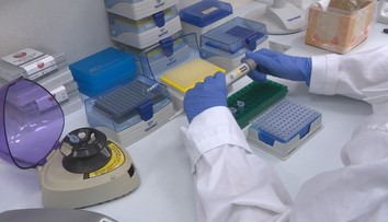 Prípady delta variantu, ktoré sme na Slovensku zachytili, sú iba špička ľadovca