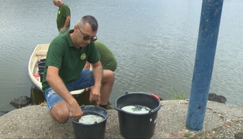 Voda v nádržiach je už taká horúca, že ryby strácajú kyslík. Rybári pri Leviciach museli zasiahnuť