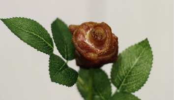 Neuveríte, z čoho je táto ruža! Je to sen mnohých Slovákov