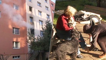 Zásah hasičov pri požiari v prešovskom paneláku. Dôchodkyňa (73) aj jej tri psy vyviazli bez ujmy