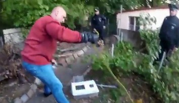 Pamätáte si na mambu zelenú, ktorá zabila ženu v Prahe? Budete prekvapení, ako skončila