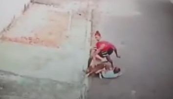 VIDEO: Agresívny pitbul napadol malé dieťa. Na pomoc mu pribehol mladý otecko