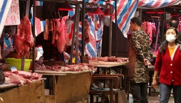 Život na trhovisku vo Wu-chane sa vrátil do normálu. V ponuke zostalo mäso z exotických zvierat