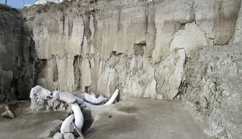 Archeológovia objavili 15-tisíc rokov staré jamy, boli v nich kosti mamutov