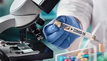 Vedci skúmali, či raz ľudská imunita dokáže odvrátiť covid a jeho mutácie. Tu sú prvé poznatky