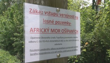Africký mor ošípaných postupuje. Obce rušia akcie a na lesných cestách hliadkujú policajti