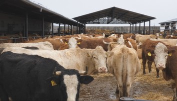 Vláda predĺžila odvodovú úľavu pre potravinárov. Ministerstvá si chcú posvietiť na výšku marží