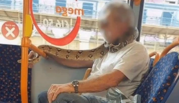 Namiesto rúška plaz. Muž nastúpil do autobusu s hadom omotaným okolo úst