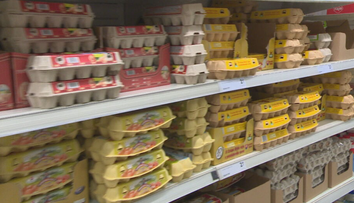 Kritika hydinárov zabrala. Fico pripustil, že zrejme znížia DPH na vajcia