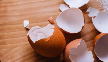Vyhadzujete škrupiny z vajec? Nerobte to a využite ich vo svojej domácnosti