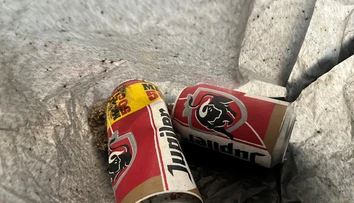 Nový zamestnanec múzea vyhodil exponát do koša. Myslel si, že sú to odpadky