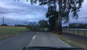 Veterná smršť v číslach. Hasiči zverejnili, kde to bolo najhoršie