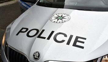 Novorodené šteniatka niekto v igelitke vyhodil do smetí. Zo šiestich prežili tri