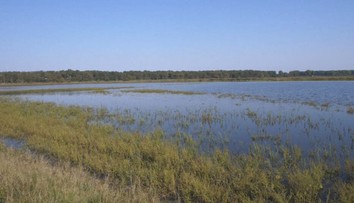 Polia sa premenili na jazerá. Desiatky hektárov pôdy sú pre prívalové dažde stále pod vodou