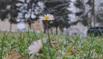 Na väčšine Slovenska akoby zima ani nebola. Môže to mať však následky