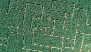 Chcete sa stratiť v kukurici? Ukážeme vám unikátne a obrovské slovenské bludisko