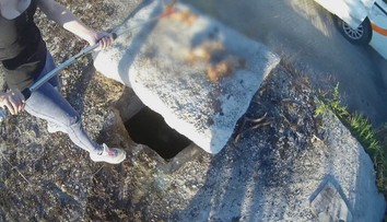 Za topenie šteniat si bývalí mestskí policajti vypočuli definitívny rozsudok