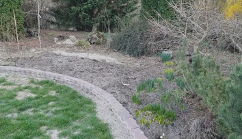 Spúšť v košickej botanickej záhrade: Diviaky zožrali tisíce cibuľovín