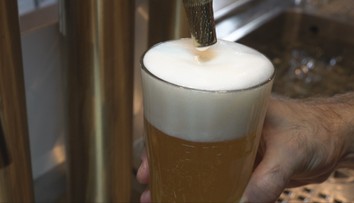 Slováci čoraz menej pijú klasické pivo. Opačný trend majú nealko varianty