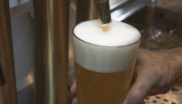 Slováci čoraz menej pijú klasické pivo. Opačný trend majú nealko varianty
