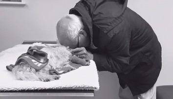 Snímka, ktorá trhá srdce. Muž sa musel rozlúčiť s jeho miláčikom
