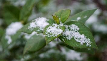 Krásne počasie je v nedohľadne. Na západe dnes môže napadnúť 7 centimetrov snehu