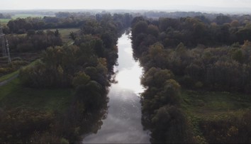 Ochranári na Zemplíne chcú kúpiť močiar. Tvrdia, že je dôležitý pre vzácne vtáctvo a človeka