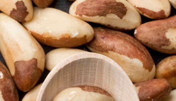 Dva nezvyčajné orechy denne pomôžu prekonať bežný zdravotný problém. Vedci odhalili ich vplyv na črevá