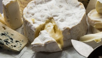 Milovníci syrov s plesňou budú mať hlavu v smútku. Dvom obľúbeným francúzskym lahôdkam hrozí zánik