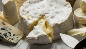 Milovníci syrov s plesňou budú mať hlavu v smútku. Dvom obľúbeným francúzskym lahôdkam hrozí zánik