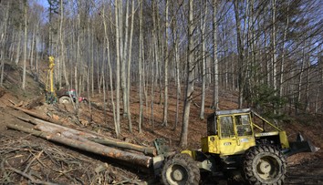 Horehronie v problémoch. Vláda pre šírenie lykožrúta nevylučuje vyhlásenie mimoriadnej situácie