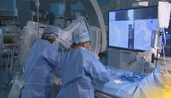 Zomrel na ňu Einstein a každý rok si vyžiada predčasnú smrť tisícok Slovákov