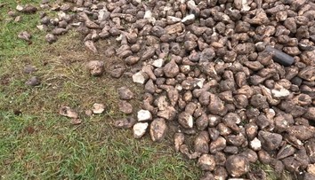 Poľovníci sa sťažujú, že odkedy funguje aplikácia s evidenciou vnadísk, sabotéri im ničia posedy