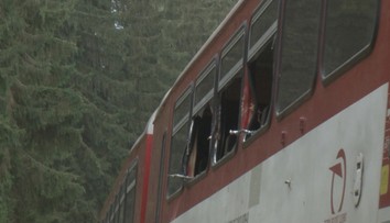 Pri obci Sklené spadol na idúci vlak strom. Črepy zranili niekoľko ľudí