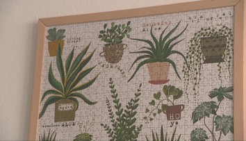 Nie sú iba logickou skladačkou, ale aj dizajnovým kúskom. Večný fenomén má svoj svetový deň