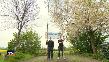 Z tradície si spravili výnosný biznis. Nemeckí bratia vyrábajú máje pre celú krajinu