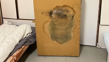 Plesnivé postele aj kúpelne. Nedôstojné podmienky na internátoch môžu ohroziť zdravie, varuje lekár