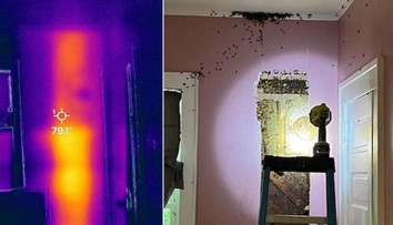 Dievčatko (3) rodičom mesiace vravelo, že má v stene strašidlá. Najprv jej neverili, potom takmer odpadli