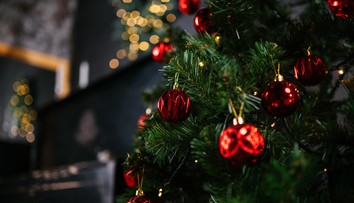 Kedy je ten správny čas odložiť vianočný stromček? Niektorí tak robia hneď po sviatkoch, iní až vo februári