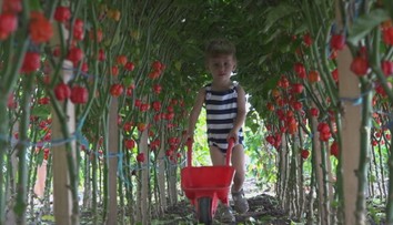 Máte radi čili papričky? Na Slovensku nájdete aj tie najštipľavejšie na svete