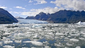 Vedci varujú, že „antarktický obor“ sa prebúdza. Podľa nich to môže znamenať katastrofu