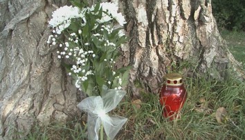 Smrť chlapca v Nitre vyvoláva otázniky: Kto nesie zodpovednosť za osudný strom?
