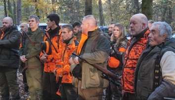 Do lesoparku nesmela ani noha: V lokalite s premnoženými diviakmi zorganizovali mimoriadnu poľovačku