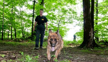 V americkom meste zmizlo za dva týždne takmer 30 detí. Polícia sa obáva, že ide o obchod s ľuďmi