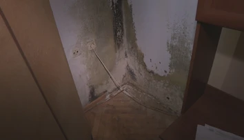 Vlhkosť ako v teráriu. Obyvatelia bytovky sa pre plesnivé steny roky naťahujú so staviteľom