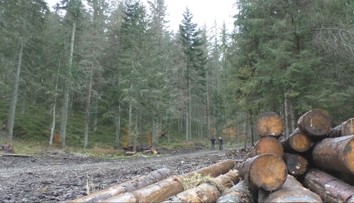 Ťažbu dreva v Muránskej planine preveruje kontrola. Vedenie národného parku kritiku odmieta