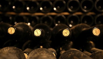 V zásielke talianskeho vína našli nebezpečnú kobylku